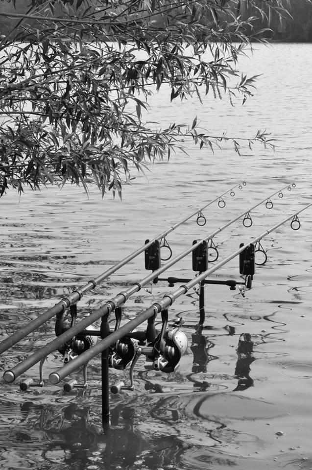 ::::::::LIKE:::::::: - 9935205427748090916251037178496n.jpg